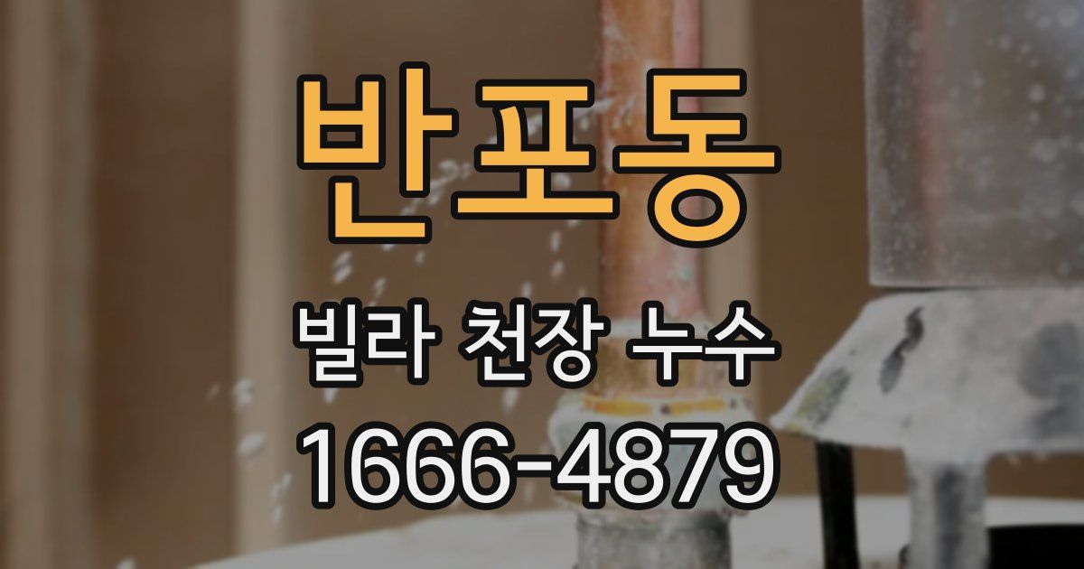 반포동 빌라 천장 누수