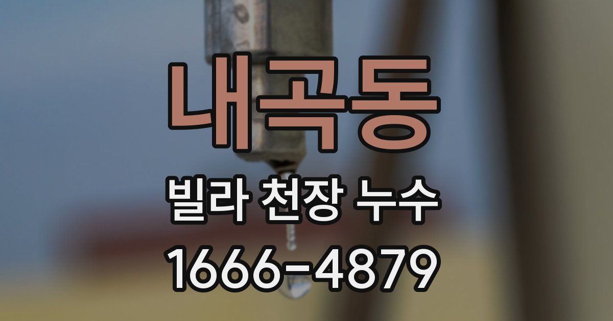 내곡동 빌라 천장 누수