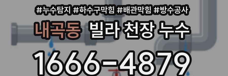 내곡동 빌라 천장 누수
