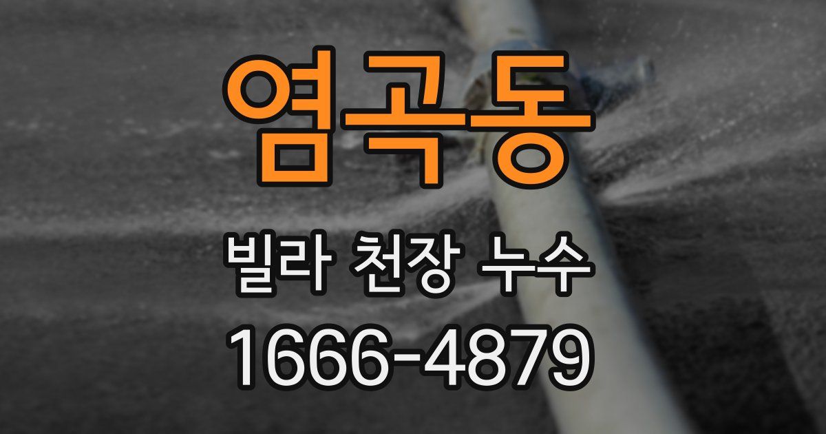염곡동 빌라 천장 누수