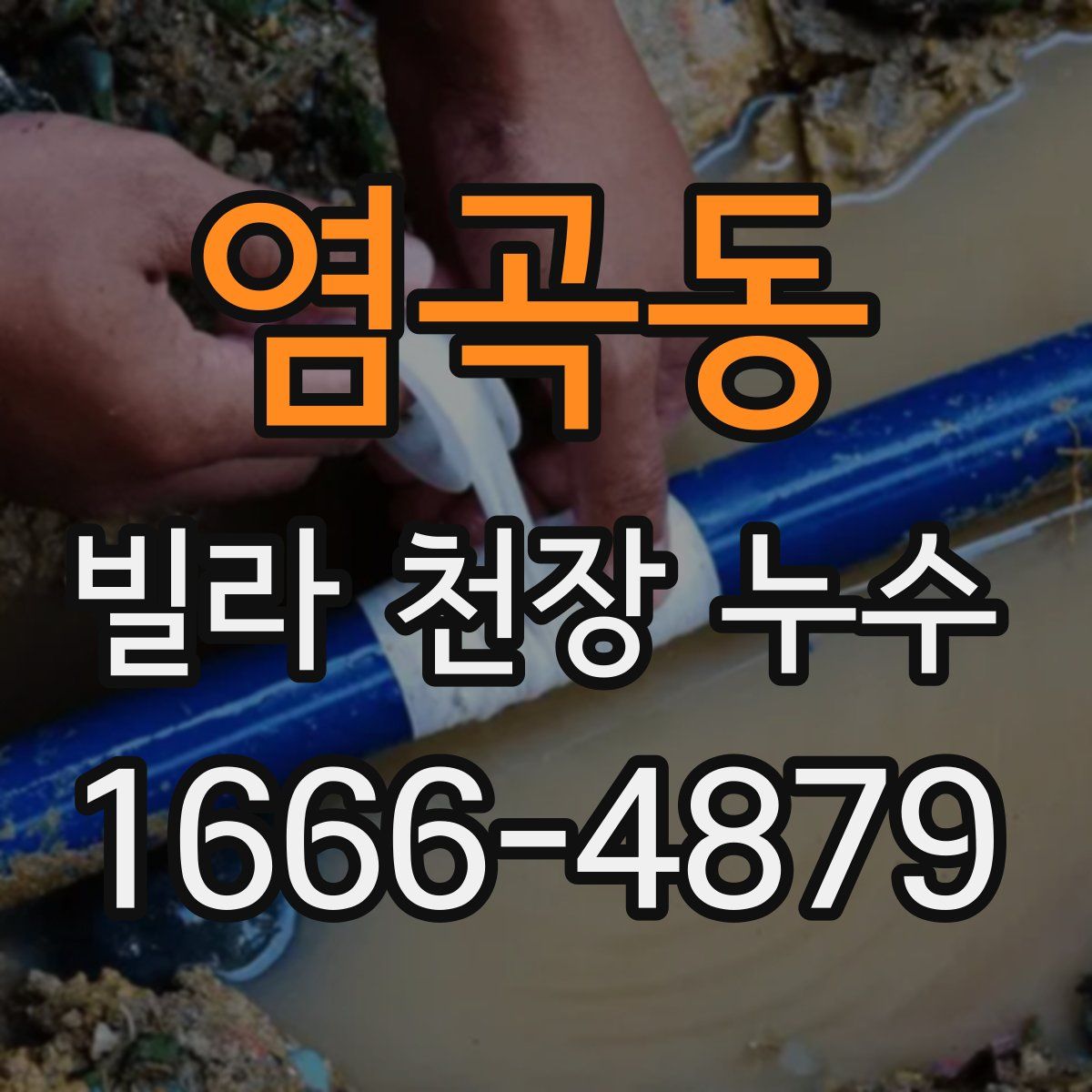 염곡동 빌라 천장 누수