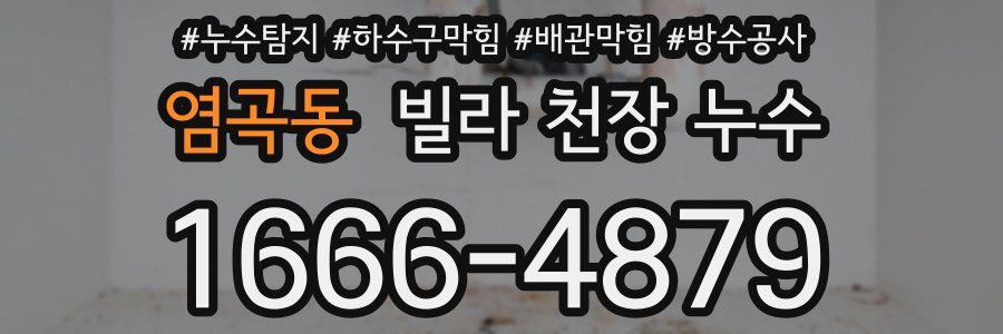 염곡동 빌라 천장 누수