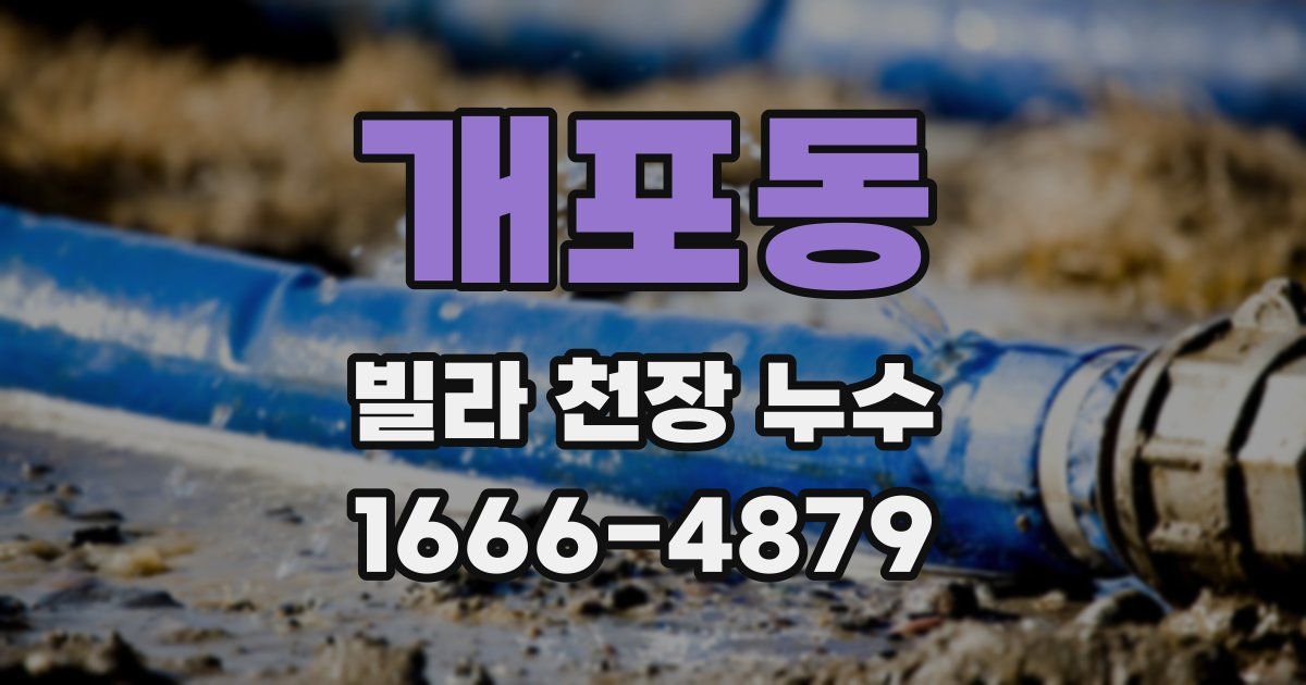 개포동 빌라 천장 누수