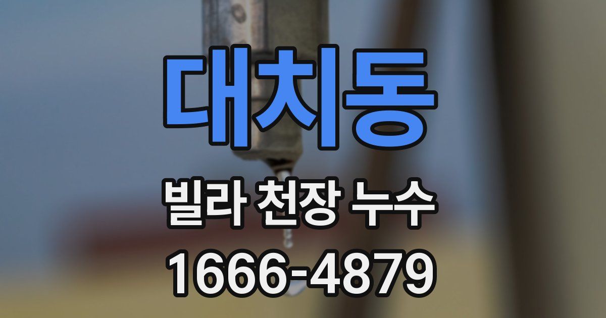 대치동 빌라 천장 누수