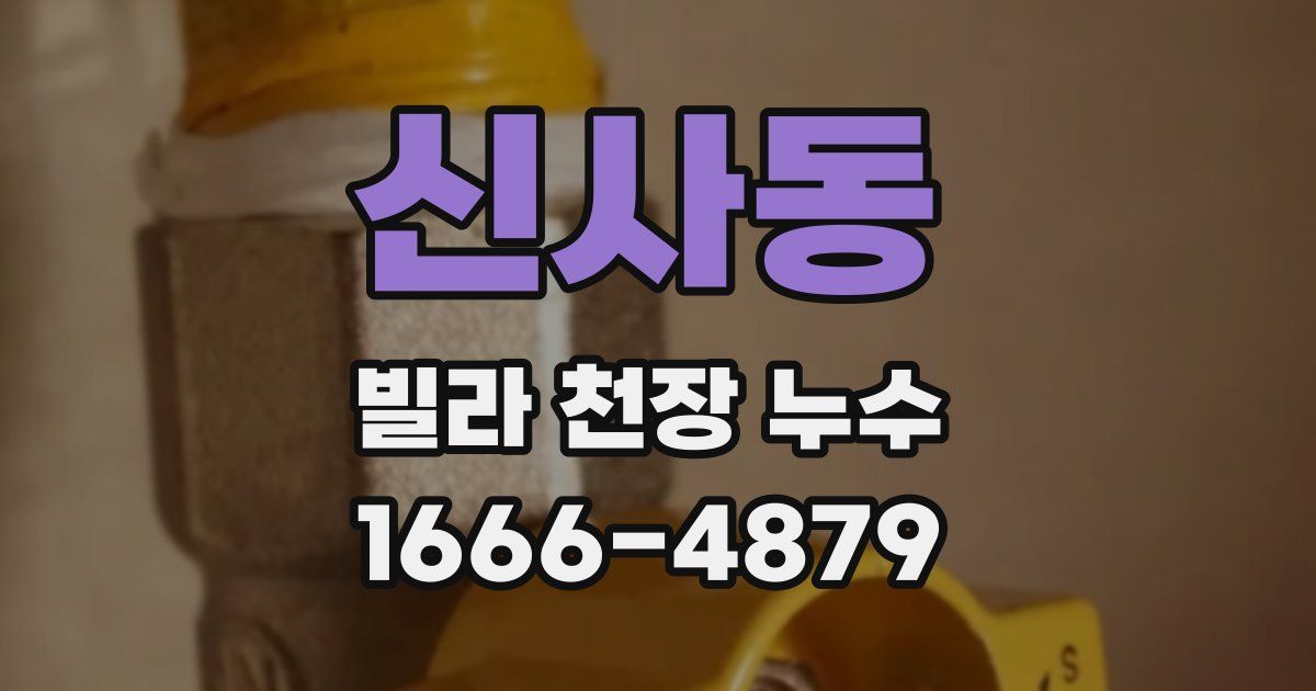 신사동 빌라 천장 누수