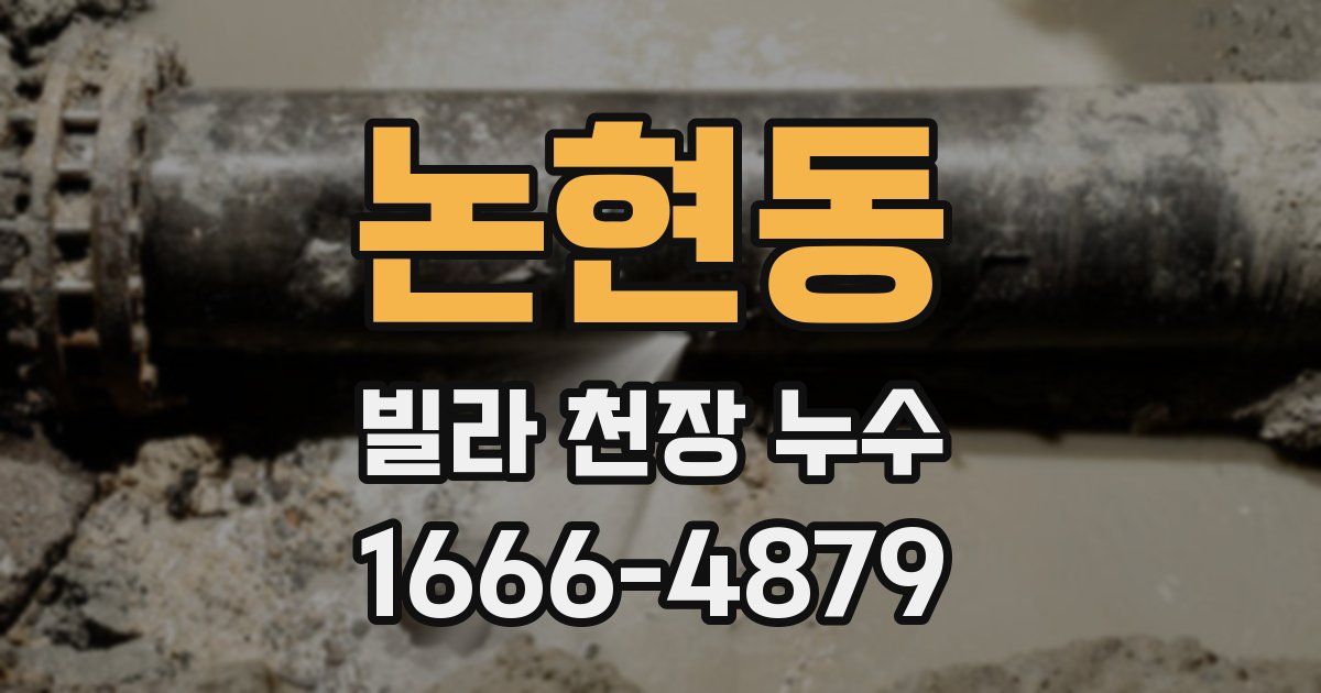 논현동 빌라 천장 누수