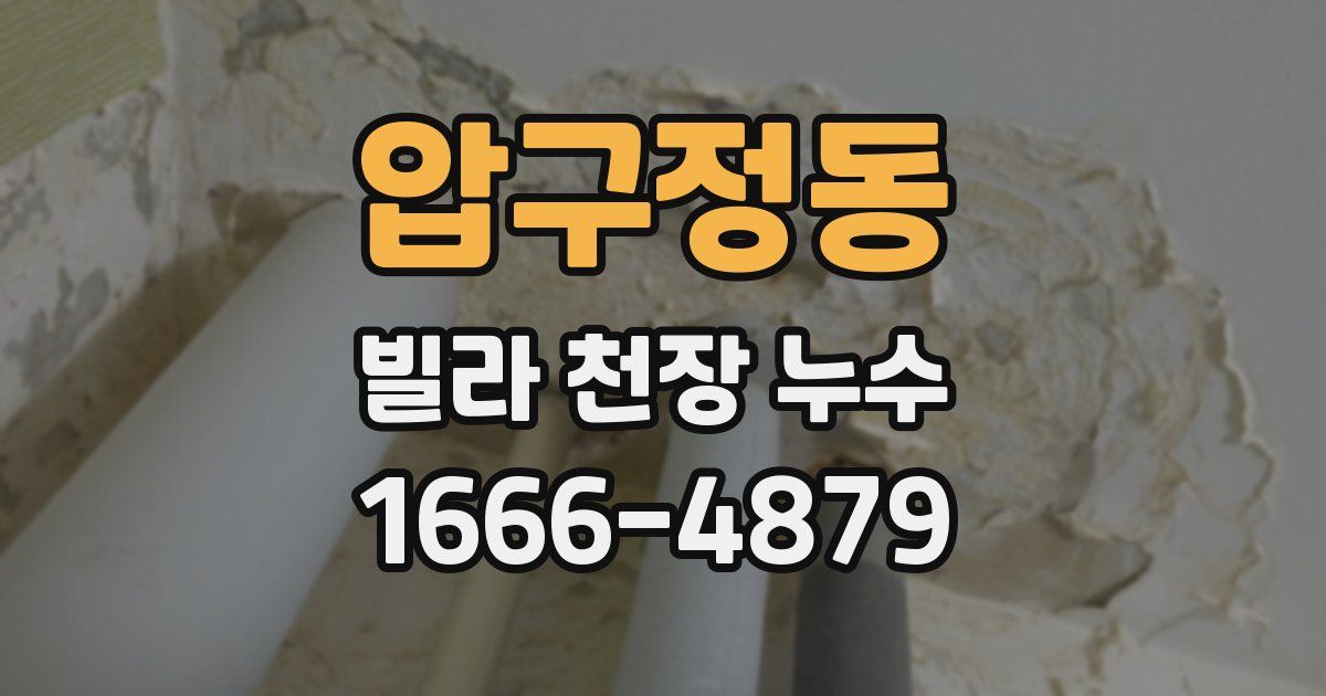 압구정동 빌라 천장 누수