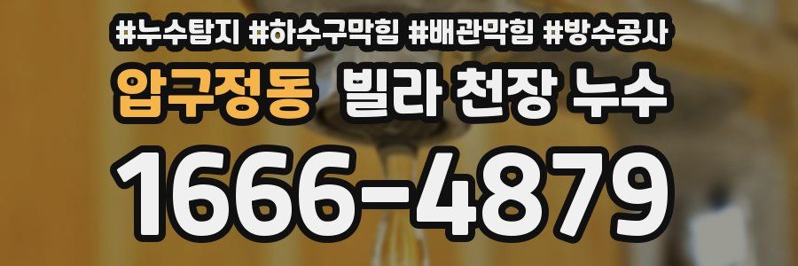 압구정동 빌라 천장 누수