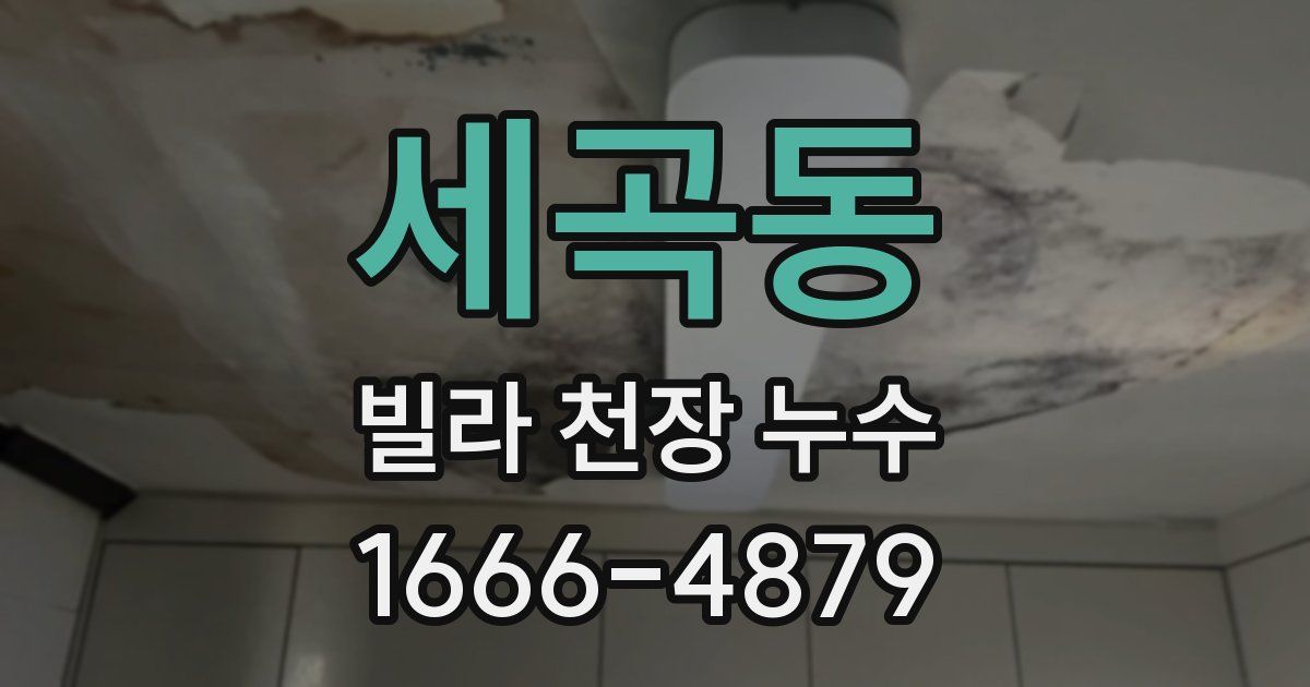 세곡동 빌라 천장 누수