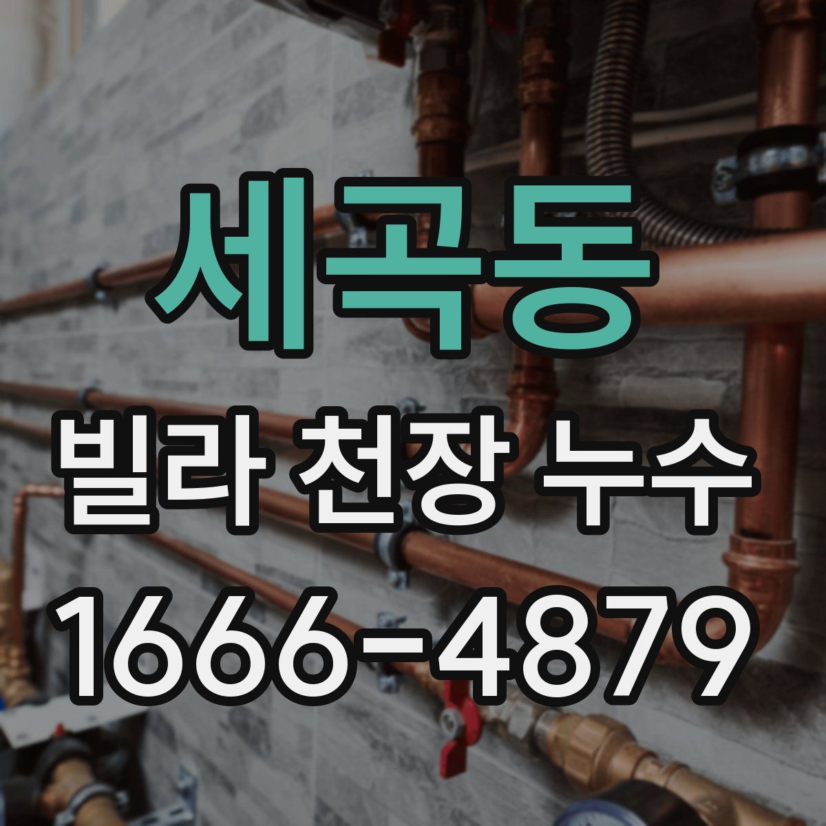 세곡동 빌라 천장 누수