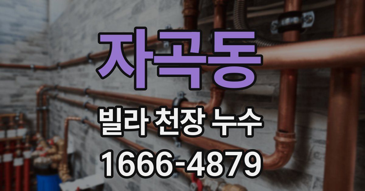 자곡동 빌라 천장 누수