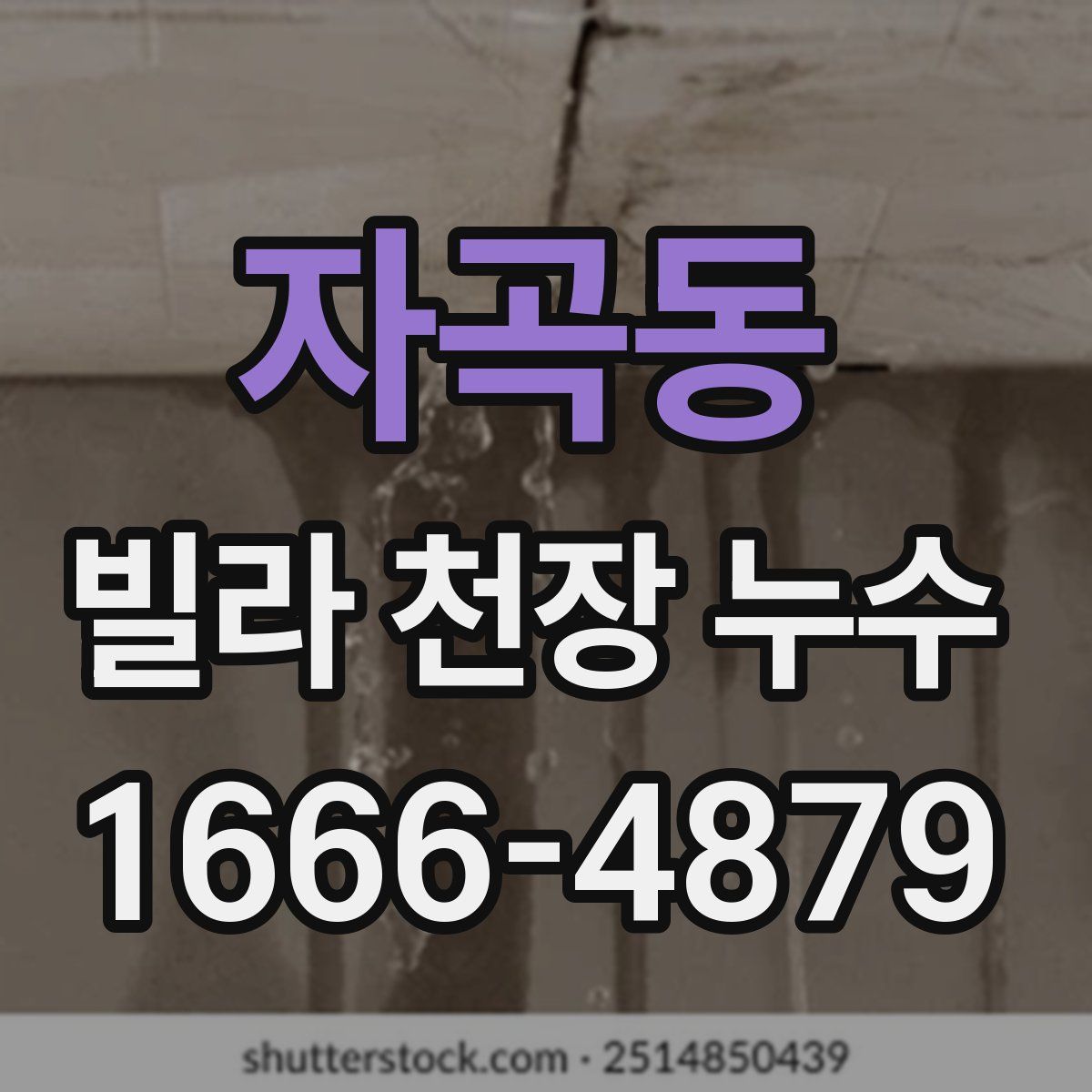 자곡동 빌라 천장 누수