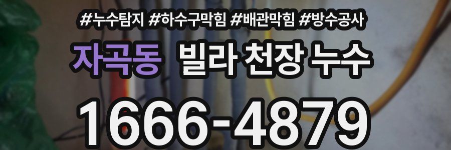 자곡동 빌라 천장 누수
