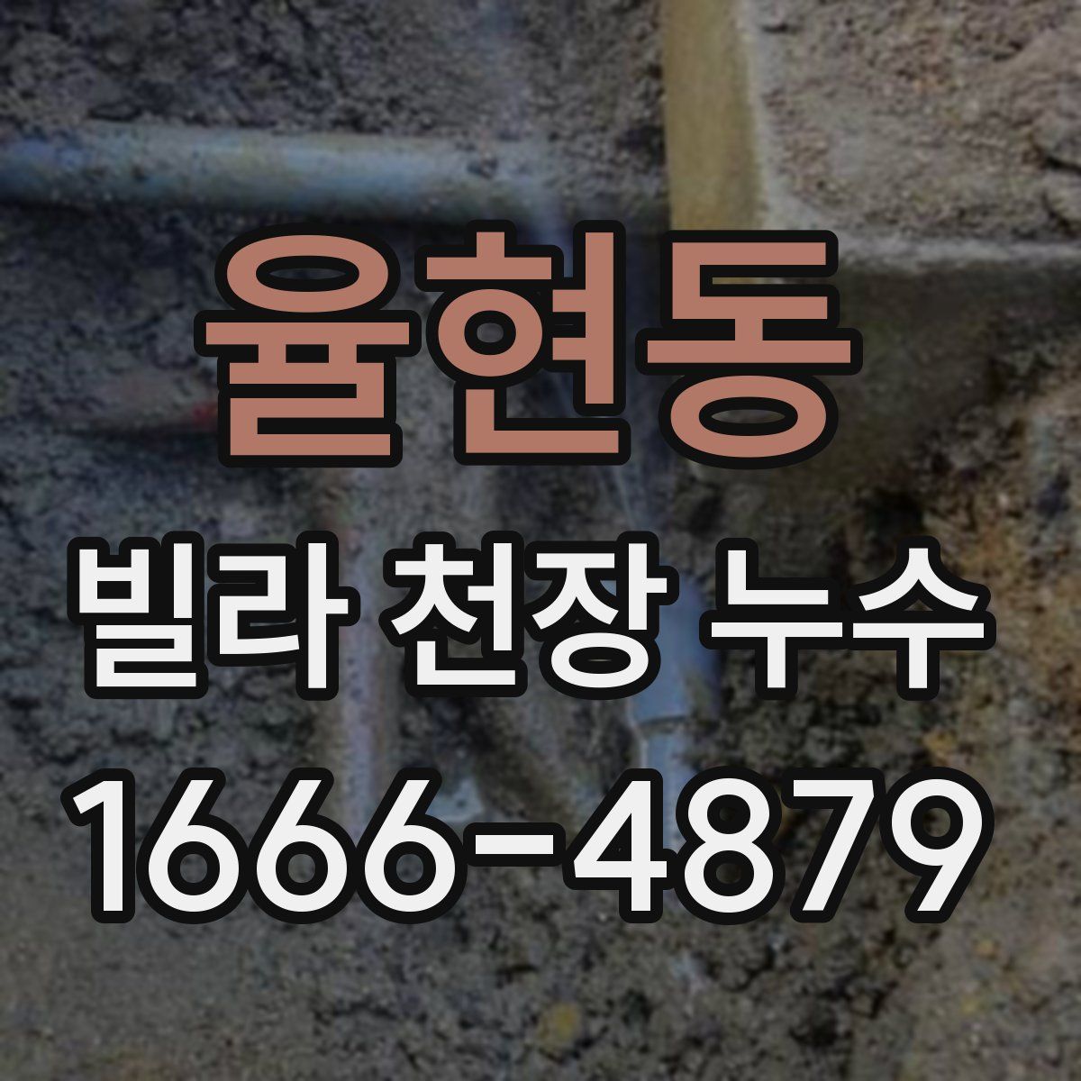 율현동 빌라 천장 누수