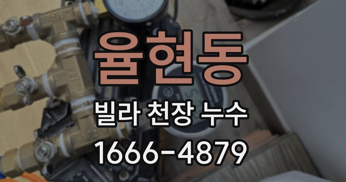 율현동 빌라 천장 누수