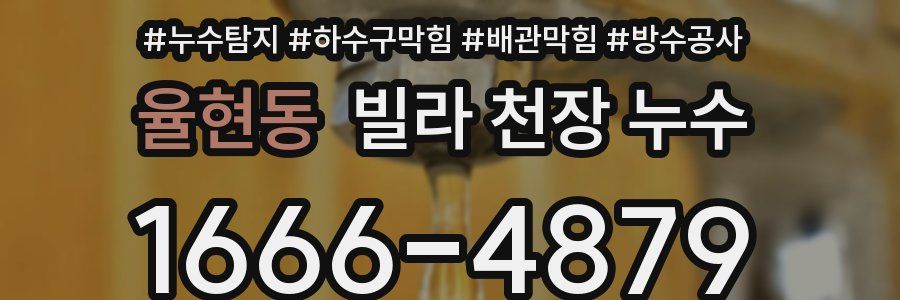 율현동 빌라 천장 누수