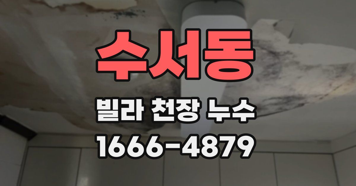 수서동 빌라 천장 누수