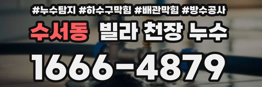 수서동 빌라 천장 누수