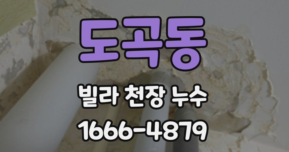 도곡동 빌라 천장 누수