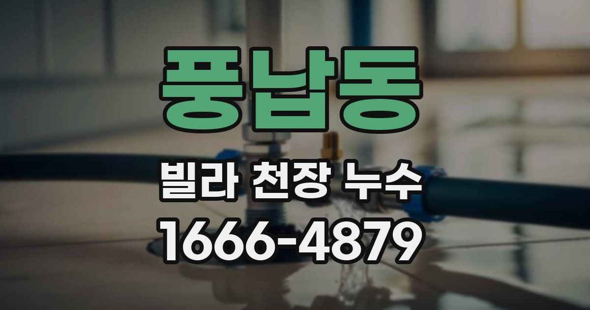 풍납동 빌라 천장 누수