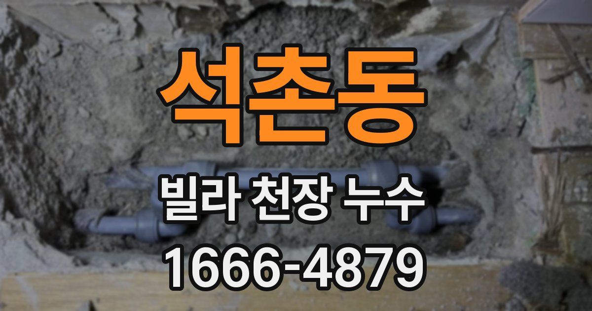 석촌동 빌라 천장 누수