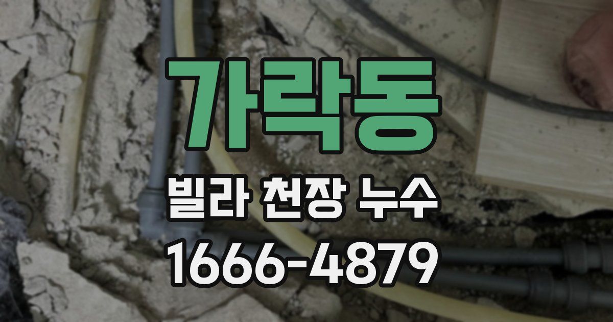 가락동 빌라 천장 누수