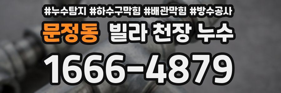 문정동 빌라 천장 누수