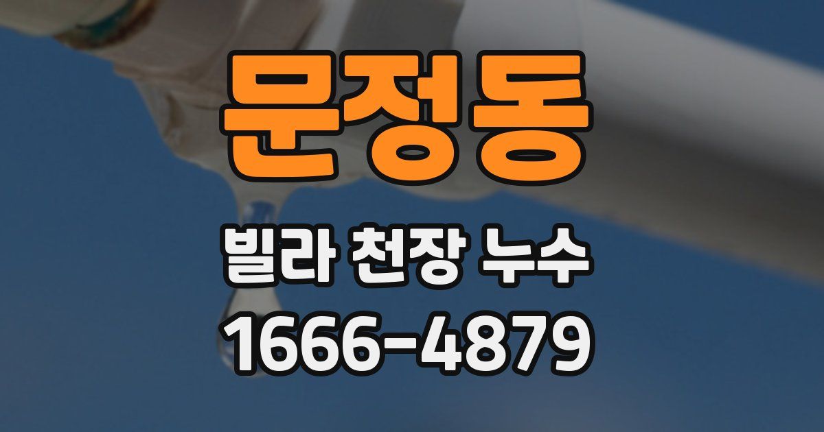 문정동 빌라 천장 누수