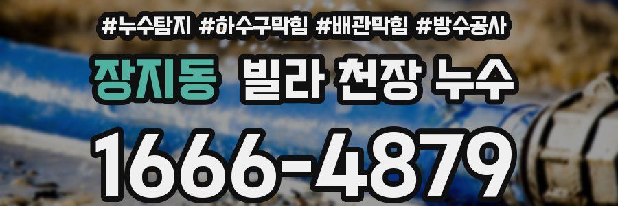 장지동 빌라 천장 누수
