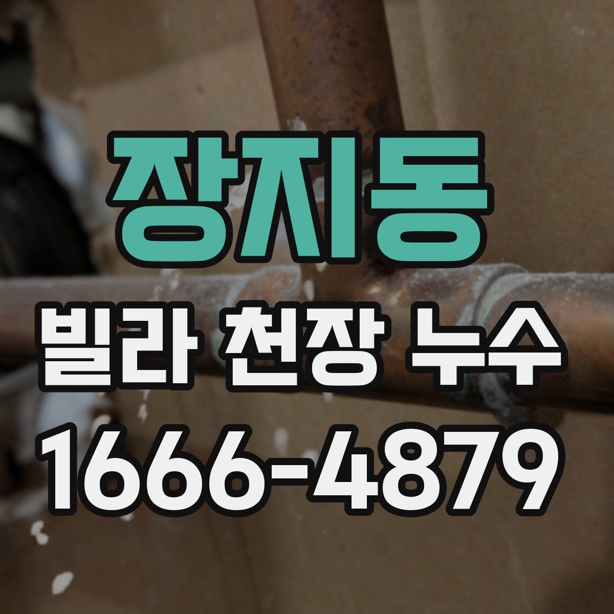 장지동 빌라 천장 누수