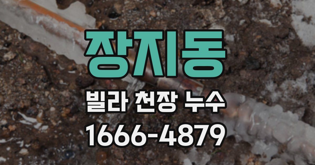 장지동 빌라 천장 누수
