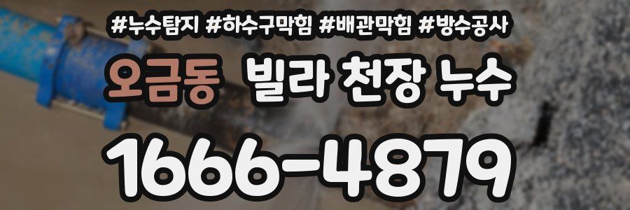 오금동 빌라 천장 누수