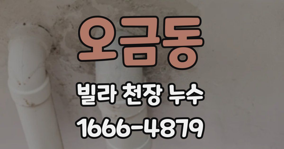 오금동 빌라 천장 누수