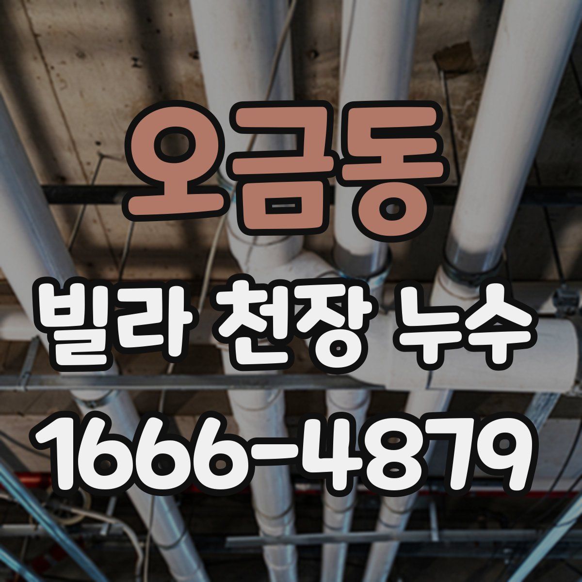 오금동 빌라 천장 누수