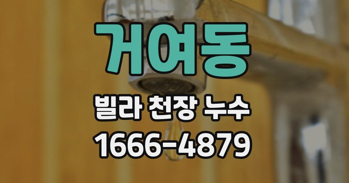 거여동 빌라 천장 누수
