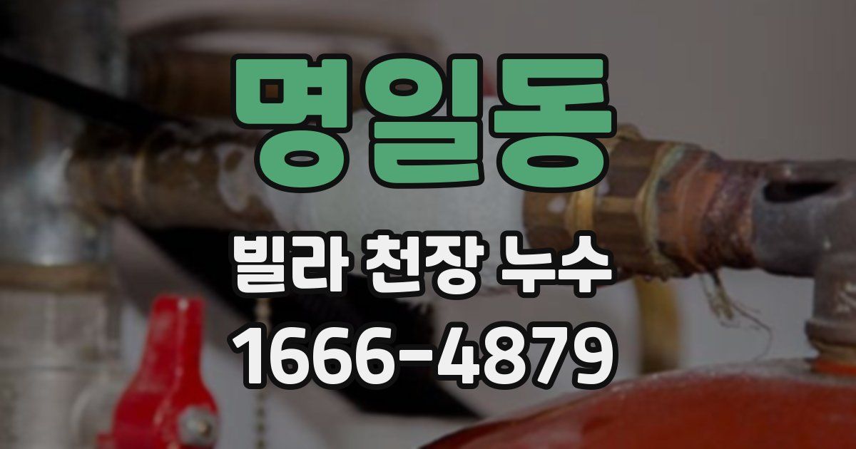 명일동 빌라 천장 누수