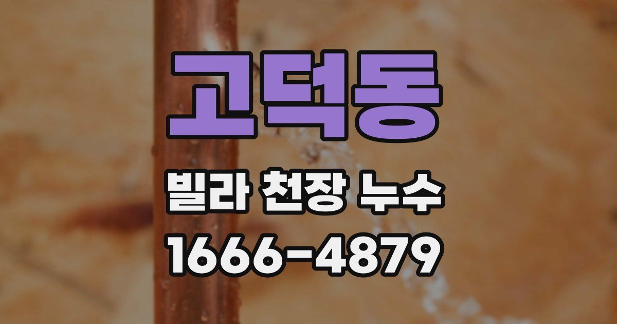 고덕동 빌라 천장 누수