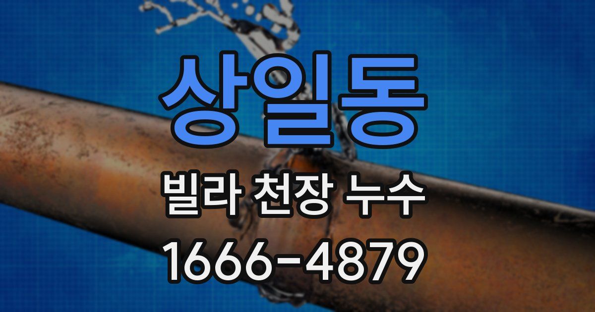 상일동 빌라 천장 누수