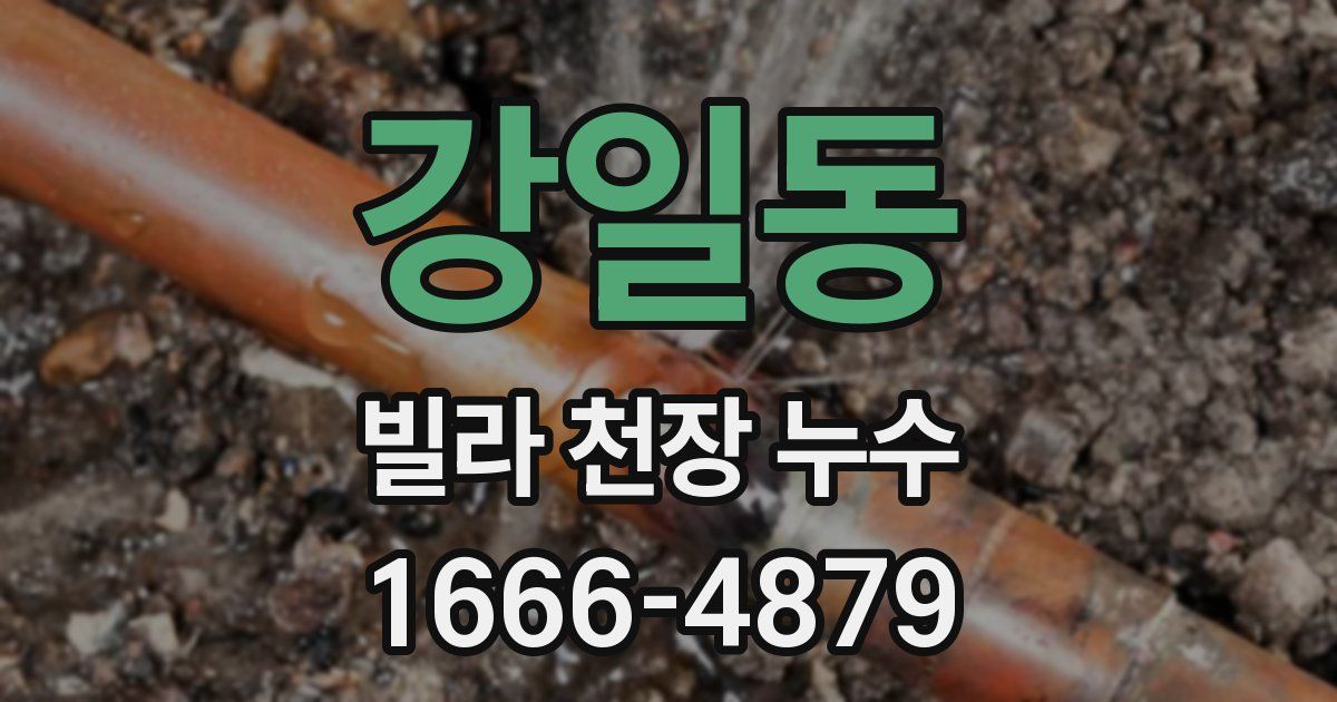강일동 빌라 천장 누수