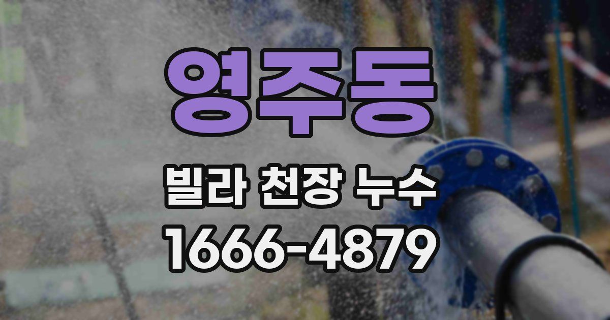 영주동 빌라 천장 누수