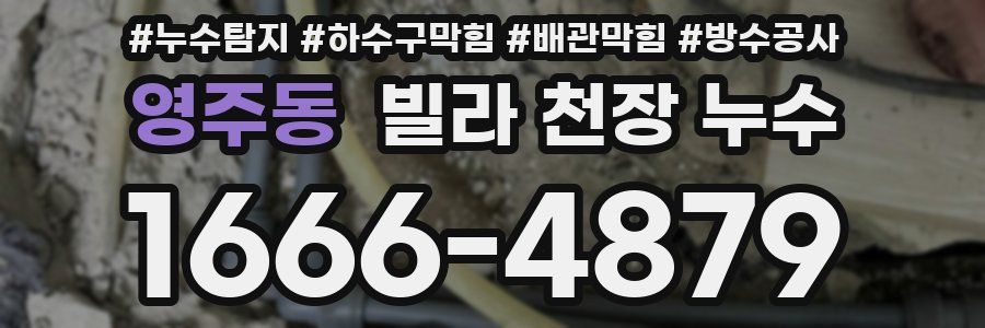 영주동 빌라 천장 누수