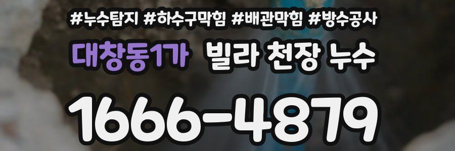 대창동1가 빌라 천장 누수