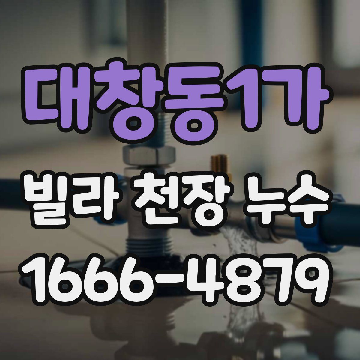 대창동1가 빌라 천장 누수