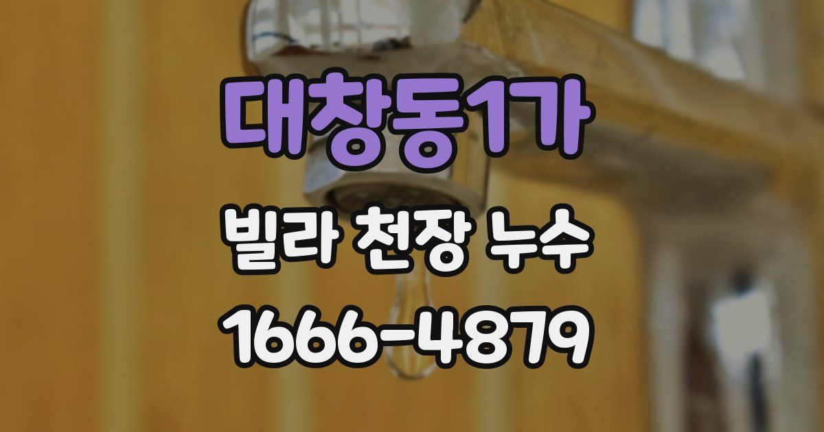 대창동1가 빌라 천장 누수