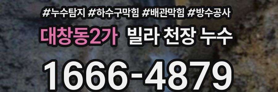 대창동2가 빌라 천장 누수