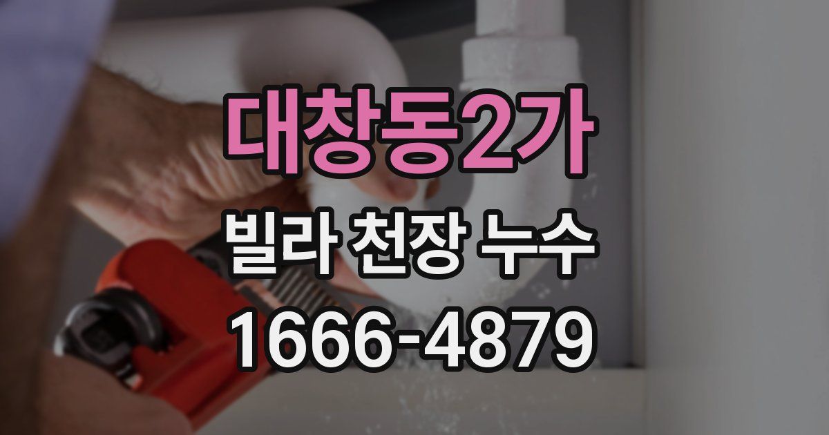 대창동2가 빌라 천장 누수
