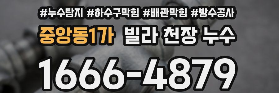중앙동1가 빌라 천장 누수