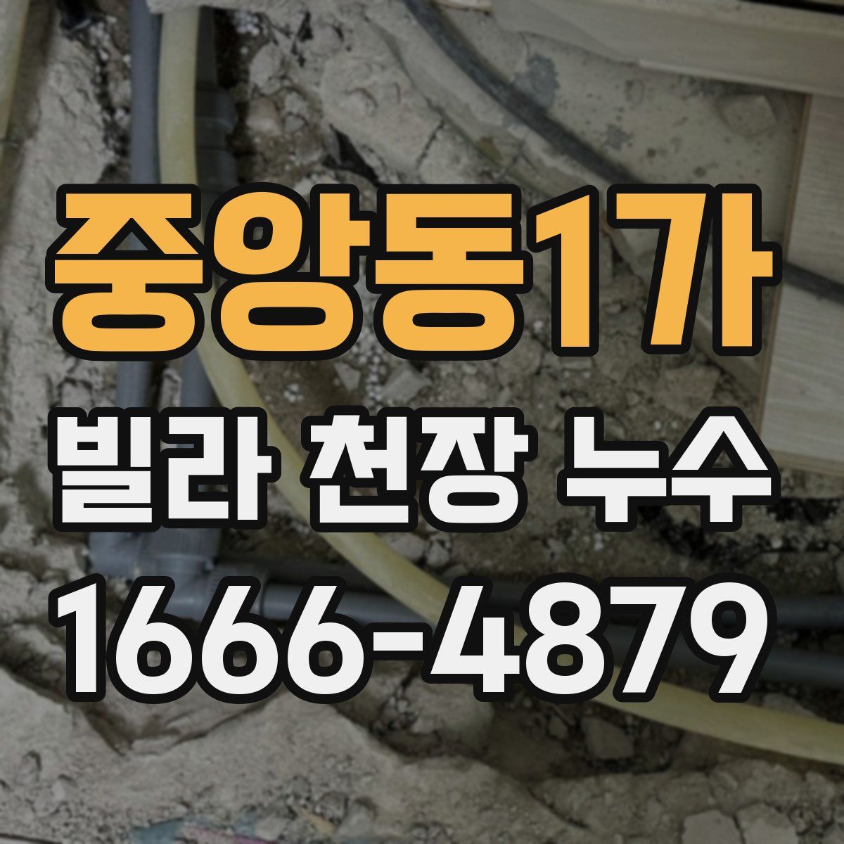 중앙동1가 빌라 천장 누수
