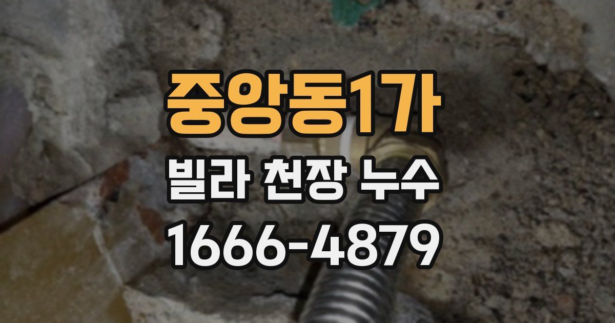 중앙동1가 빌라 천장 누수