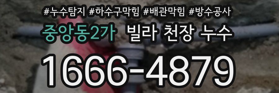 중앙동2가 빌라 천장 누수